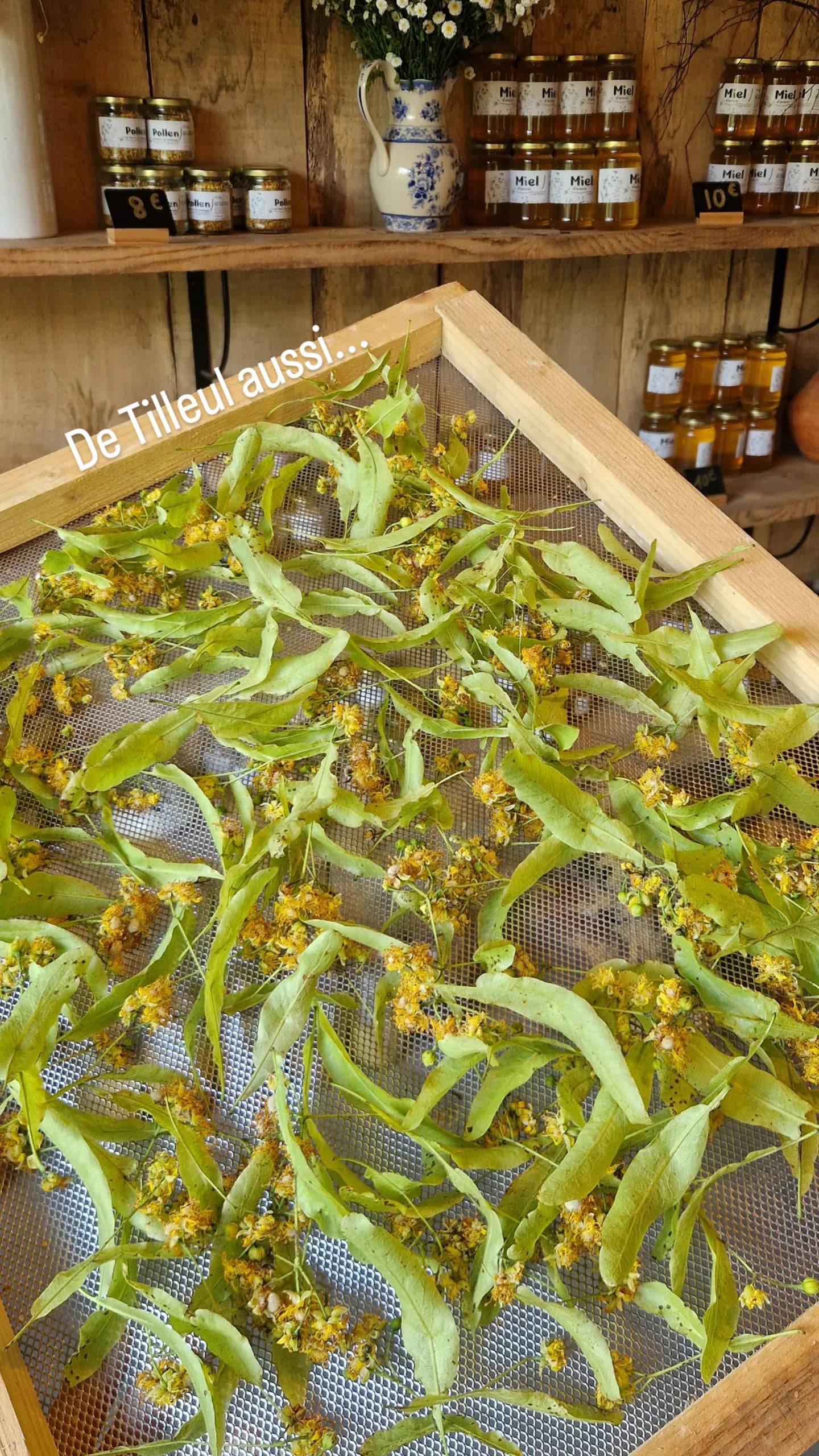 Miel de Tilleul 500g