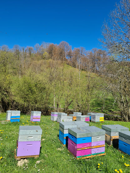 Miel de Montagne 500g