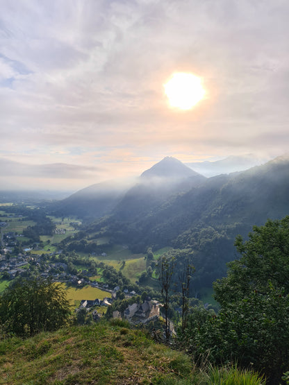 Miel de Montagne 250g