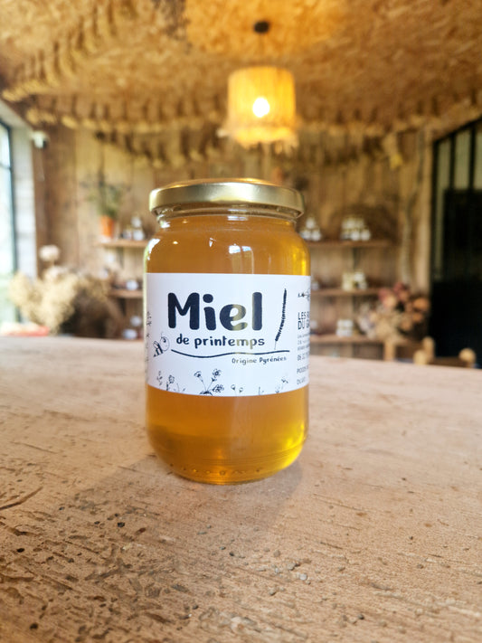 Miel de Printemps 500g