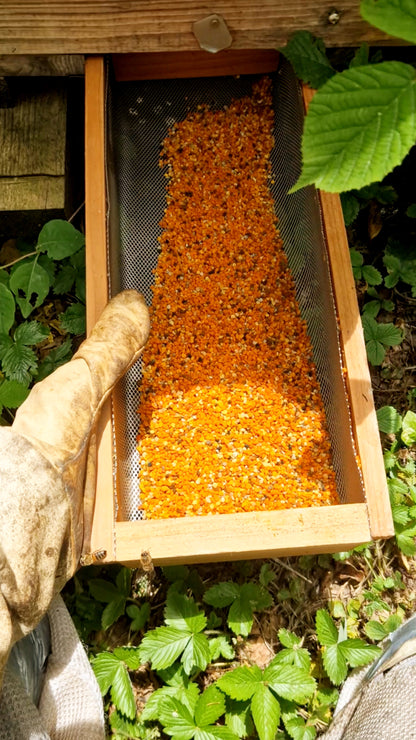 Pollen de fleurs de montagne