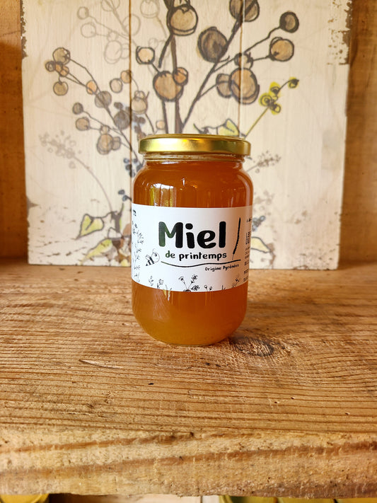 Miel de Printemps 500g