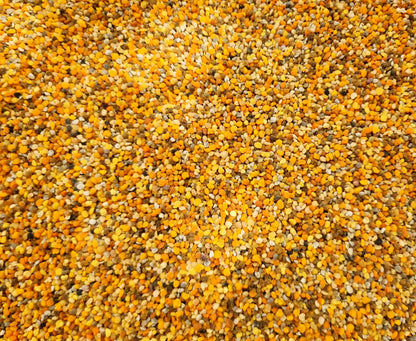 Pollen de fleurs de montagne